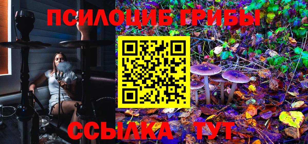 Галлюциногенные грибы Psilocybe Когалым