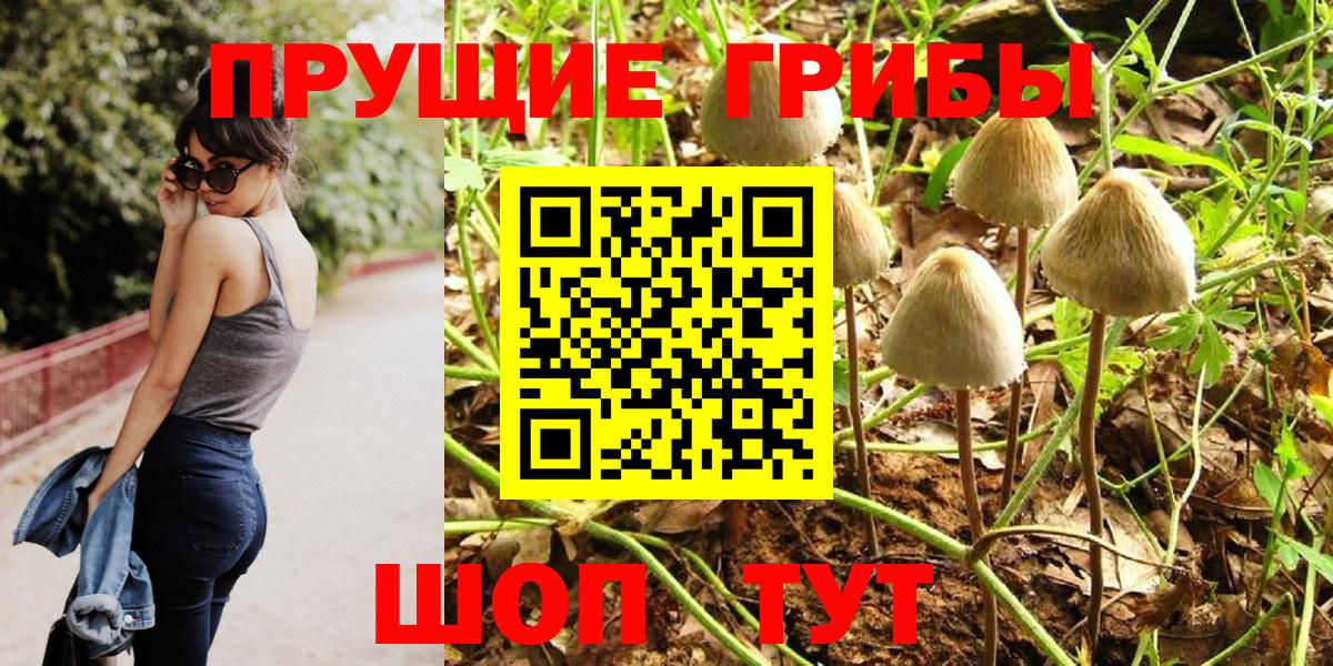 Галлюциногенные грибы Magic Shrooms  Вход с VPN  Когалым 